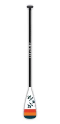 Performer CF