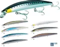 TOURNAMENT SALTWATER