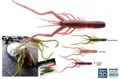 TOURNAMENT BUBBLE-SHRIMP