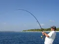 GT SPECIAL POPPING