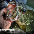 SPOTTER 5''