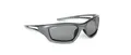 Sunglasses Biomaster