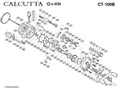 CALCUTTA B - CT100B