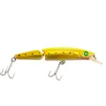 T-Fishing Extreme Thunder Jointed Super Predator