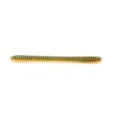 Legio Aurea Caestus Tournament Finesse Worm