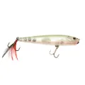 Castaic Boyd Duckett BDT120 wtd topwater