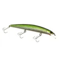 T-Fishing Extreme Thunder Prey jerk minnow