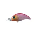 Deps Korrigan SR
