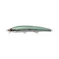 Evergreen Honesty seabass