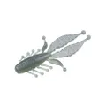 Evergreen Kicker Bug