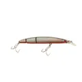 Seaspin Buginu 105 Biu