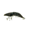 Molix Shrimp