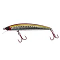 Daiwa Shoreline Shiner R40+ Plus