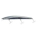 Daiwa Shore Line Shiner Slender