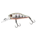 X-Bait MS34 F/MR