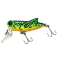 Bass Pro Shops XTS UB Hopper