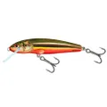 Salmo Minnow