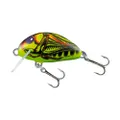 Salmo Tiny
