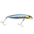 X-Bait HDM 120 F/SR