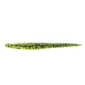 Lunker City Slug-go