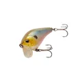 Vicious VC2 crankbait