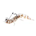 River2Sea Nest Raider Lizard Creature