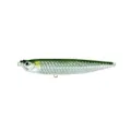Molix WTD 150T Walking The Dog Tarpon
