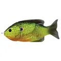 Livetarget Hollow Belly Sunfish