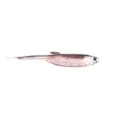 Castaic Jerky J HD colors soft jerkbait