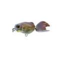 River2sea Gold'n Crank 40