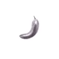 Seaspin Corno