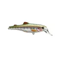 Livetarget Trout Fry
