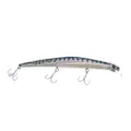 Hart Skin Minnow saltwater long Jerk