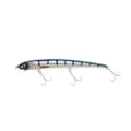 Molix Audace 130