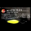 Nories Cecilia long cast spoon