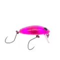 Nories CRANKIN' Pupa Shallow