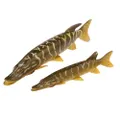 Savage Gear 3D Line-Thru Pike