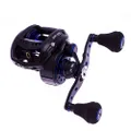 Abu Garcia Revo Toro Beast baitcasting reel