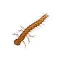 Uncle Buck's Hellgrammite Rigged Soft Bait