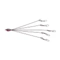 Behr Multi Raubfish System umbrella rig