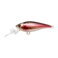 Lucky Craft Bevy Shad 40SP