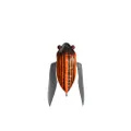 Megabass Tiny Siglett