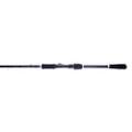 Daiwa Luvias Salt spinning rod 2 pcs