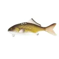 Black Cat Baby Carp