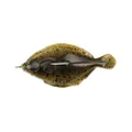Behr Trendex Flounder
