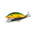 Real Winner Minnow