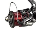 Shimano Stradic Ci4+ FB Bobine di ricambio