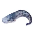 Fish Cushion