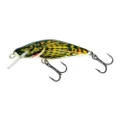 Salmo Bullhead