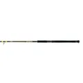 Black Cat Passion Pro DX Spinning 2 pcs